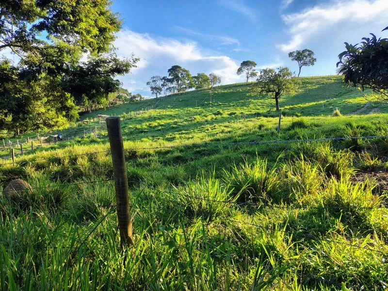 Fazenda em Itaguara/Minas Gerais — Ref BMUW2U — Imagem 2