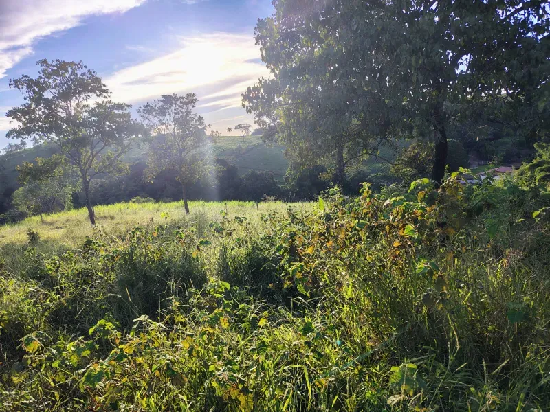 Fazenda em Itaguara/Minas Gerais — Ref BMUW2U — Imagem 20