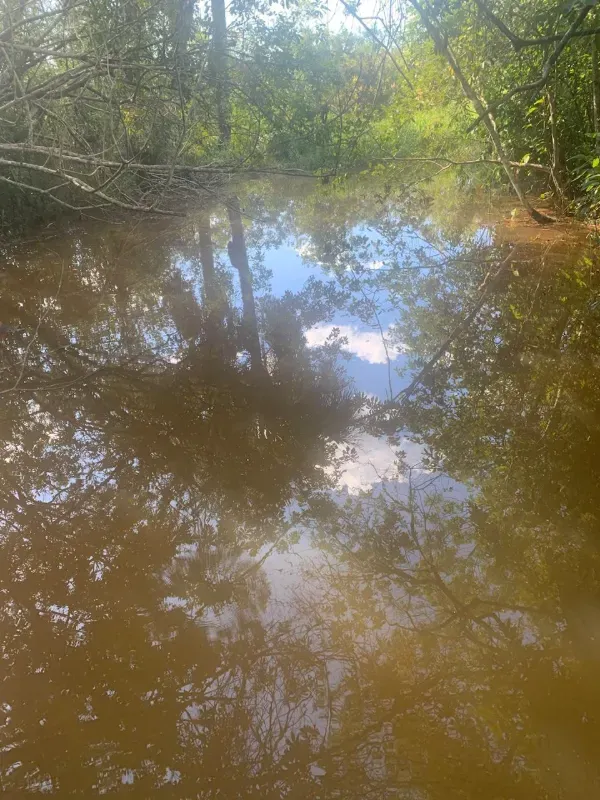 Fazenda em Paraopeba/Minas Gerais — Ref FTC2ZT — Imagem 12