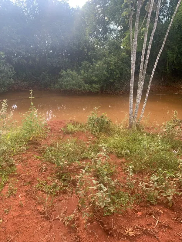 Fazenda em Paraopeba/Minas Gerais — Ref FTC2ZT — Imagem 13