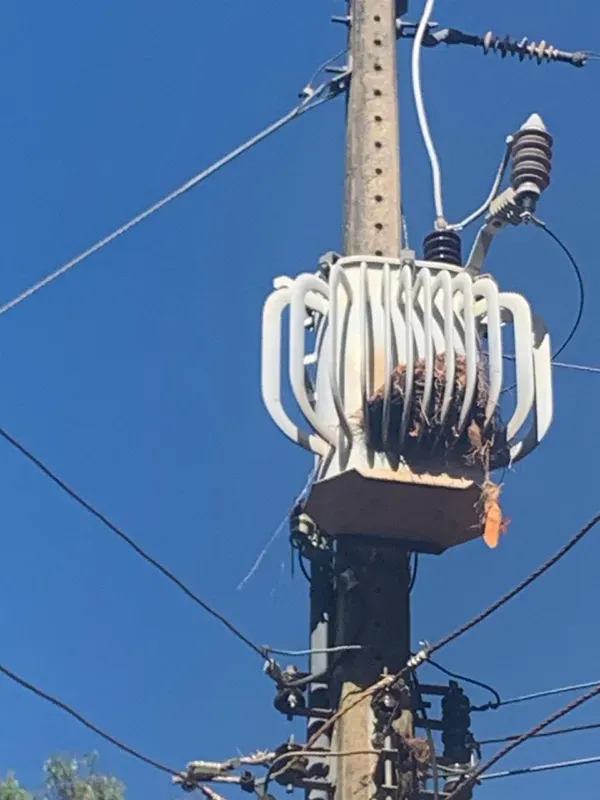 Fazenda em Paraopeba/Minas Gerais — Ref FTC2ZT — Imagem 11