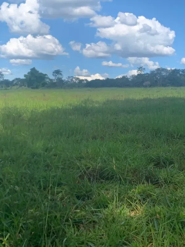 Fazenda em Paraopeba/Minas Gerais — Ref FTC2ZT — Imagem 18