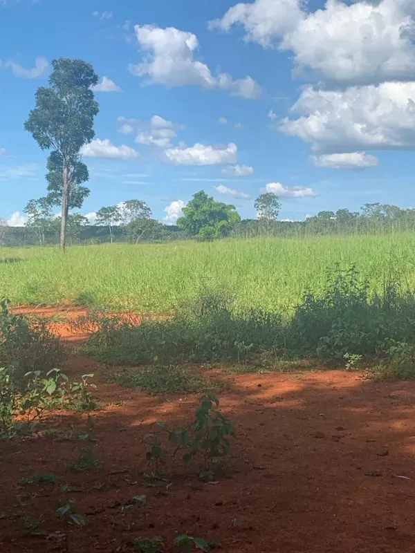 Fazenda em Paraopeba/Minas Gerais — Ref FTC2ZT — Imagem 19