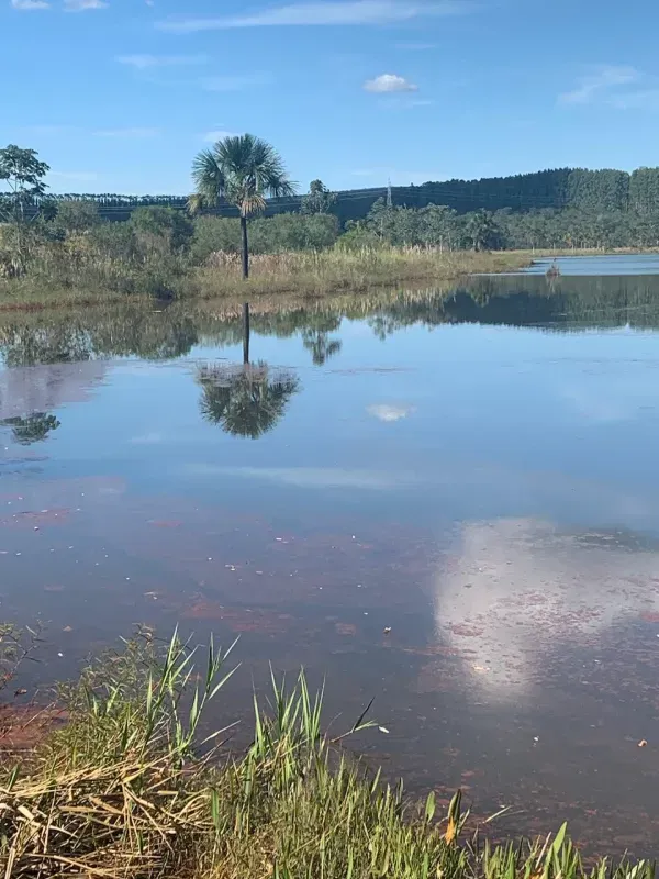 Fazenda em Paraopeba/Minas Gerais — Ref FTC2ZT — Imagem 14