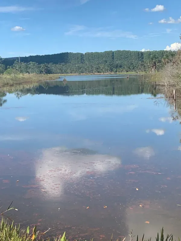 Fazenda em Paraopeba/Minas Gerais — Ref FTC2ZT — Imagem 15