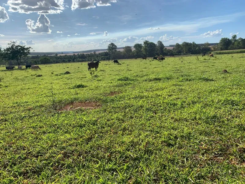 Fazenda em Paraopeba/Minas Gerais — Ref FTC2ZT — Imagem 5
