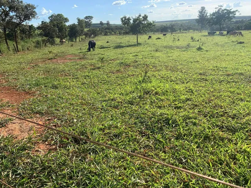 Fazenda em Paraopeba/Minas Gerais — Ref FTC2ZT — Imagem 6