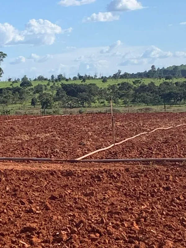 Fazenda em Paraopeba/Minas Gerais — Ref FTC2ZT — Imagem 2