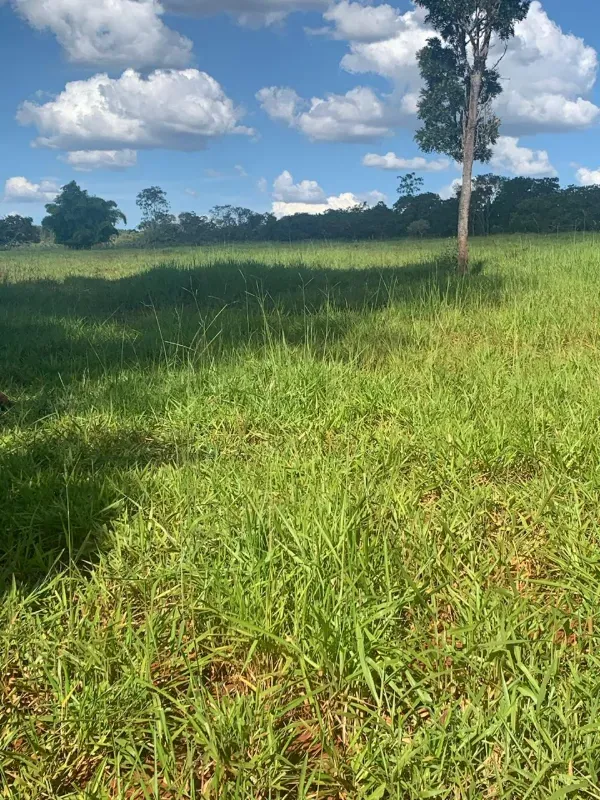 Fazenda em Paraopeba/Minas Gerais — Ref FTC2ZT — Imagem 20