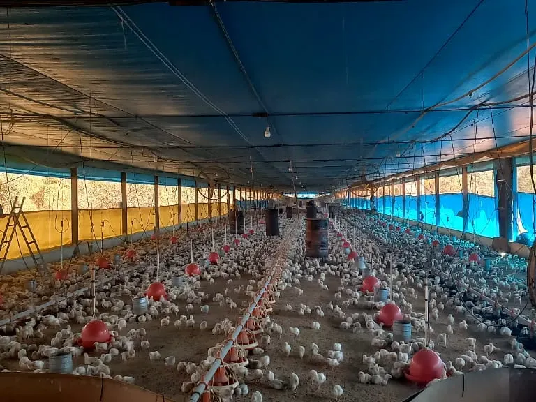 Fazenda em Pará de Minas/Minas Gerais — Ref 1PSPE9 — Imagem 2