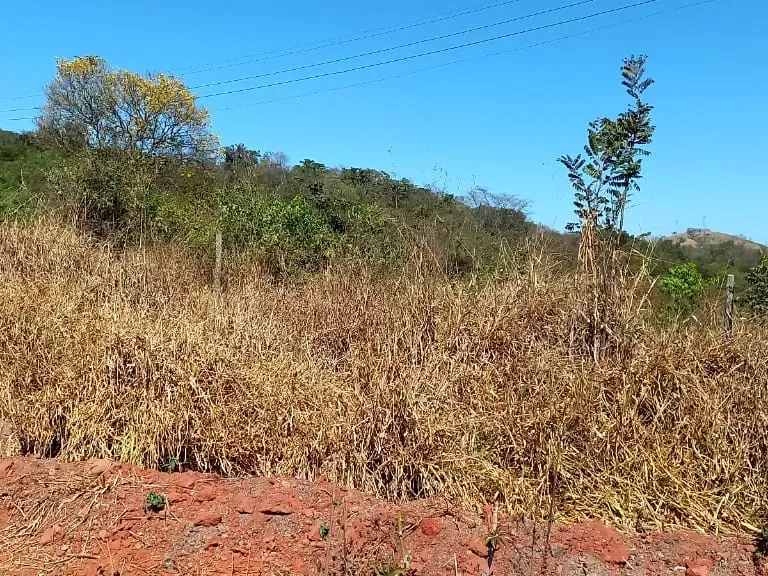Fazenda em Pará de Minas/Minas Gerais — Ref 1PSPE9 — Imagem 11