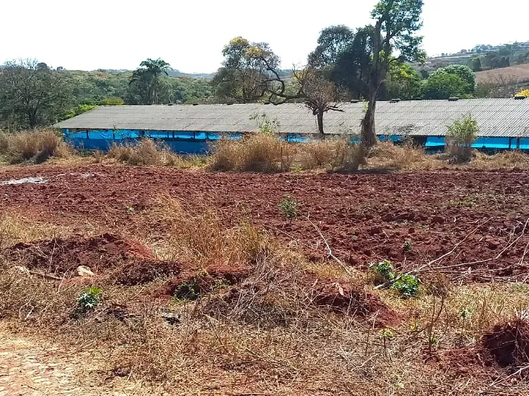 Fazenda em Pará de Minas/Minas Gerais — Ref 1PSPE9 — Imagem 6