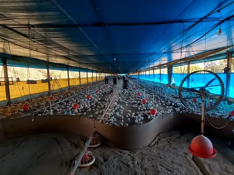 Imóvel rural em Pará de Minas/Minas Gerais — Ref 1PSPE91