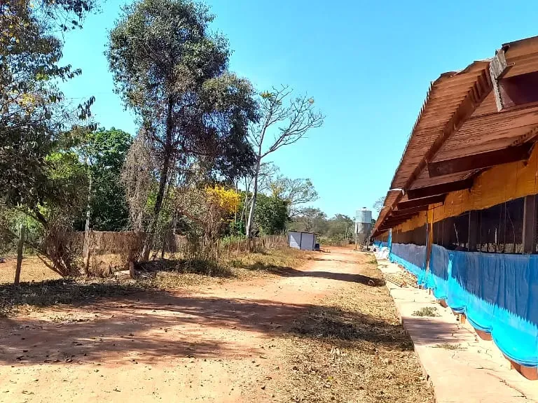 Fazenda em Pará de Minas/Minas Gerais — Ref 1PSPE9 — Imagem 5