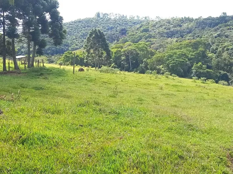 Fazenda em Aiuruoca/Minas Gerais — Ref 3YMEJY — Imagem 28