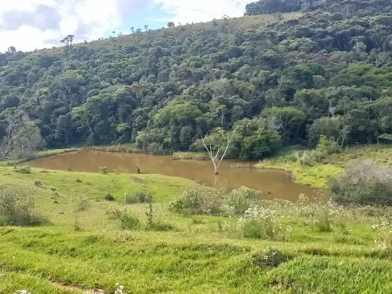 Fazenda em Aiuruoca/Minas Gerais — Ref 3YMEJY — Imagem 2