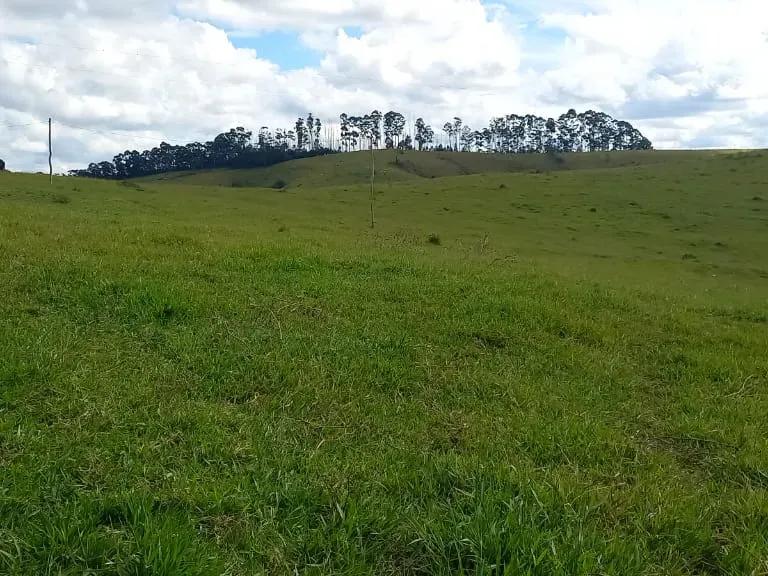 Fazenda em Aiuruoca/Minas Gerais — Ref 3YMEJY — Imagem 33
