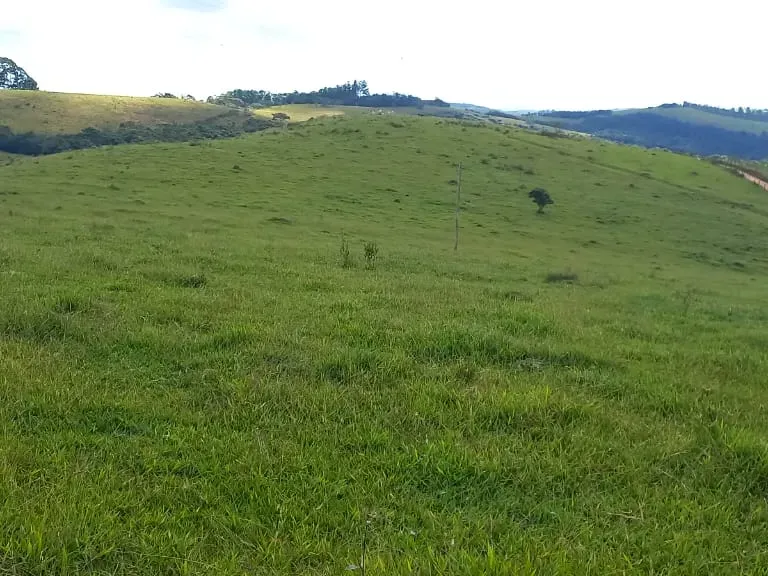 Fazenda em Aiuruoca/Minas Gerais — Ref 3YMEJY — Imagem 35