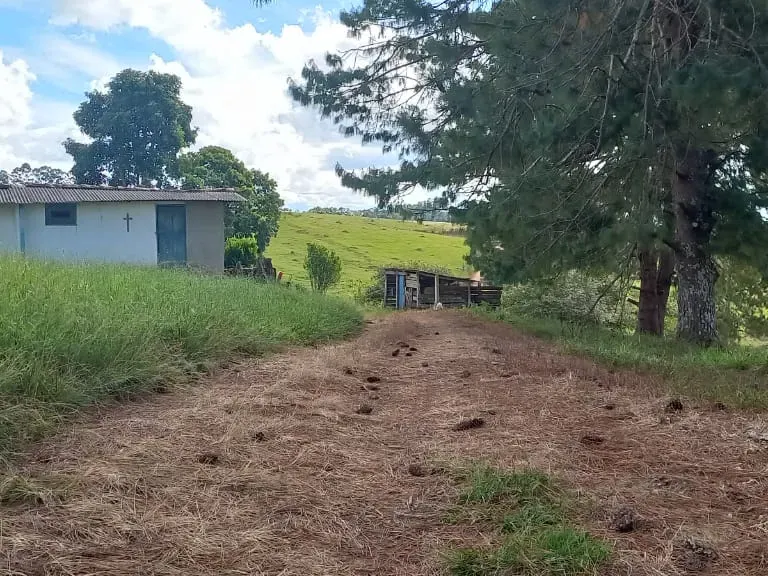 Fazenda em Aiuruoca/Minas Gerais — Ref 3YMEJY — Imagem 12