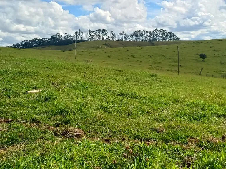 Fazenda em Aiuruoca/Minas Gerais — Ref 3YMEJY — Imagem 25