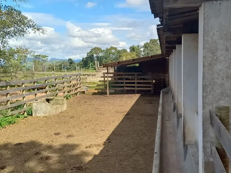 Fazenda em Aiuruoca/Minas Gerais — Ref 3YMEJY — Imagem 15