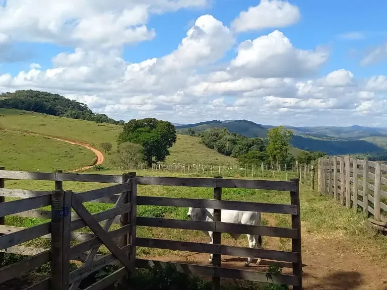 Fazenda em Aiuruoca/Minas Gerais — Ref 3YMEJY — Imagem 14