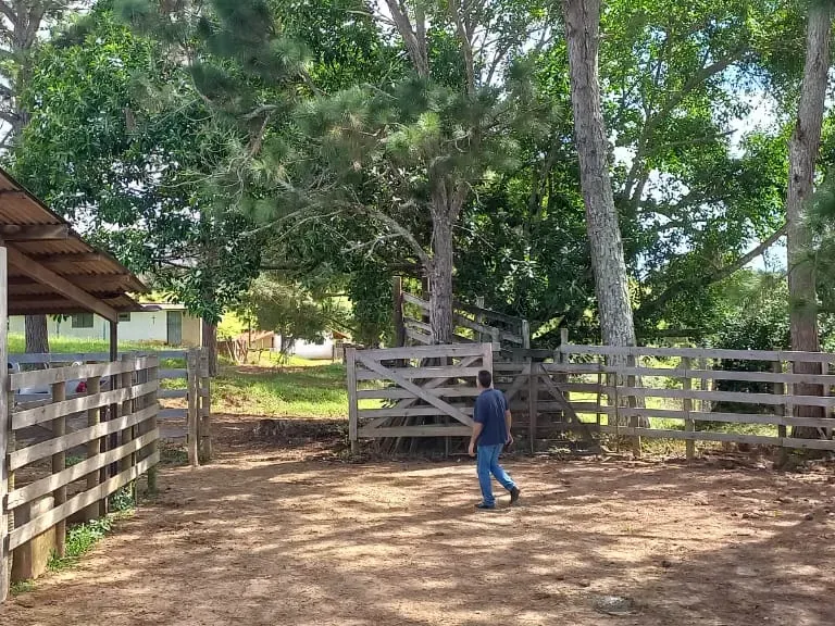 Fazenda em Aiuruoca/Minas Gerais — Ref 3YMEJY — Imagem 17