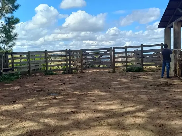 Fazenda em Aiuruoca/Minas Gerais — Ref 3YMEJY — Imagem 18