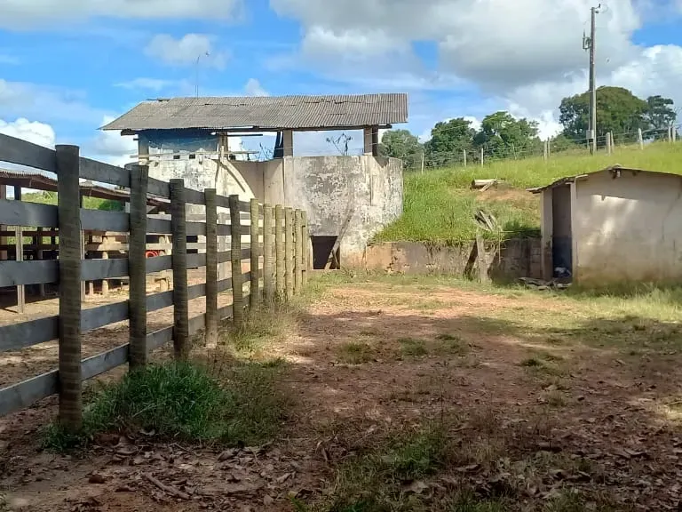 Fazenda em Aiuruoca/Minas Gerais — Ref 3YMEJY — Imagem 19