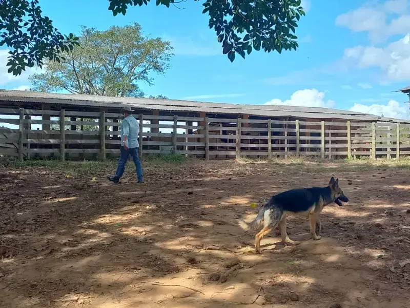 Fazenda em Aiuruoca/Minas Gerais — Ref 3YMEJY — Imagem 20