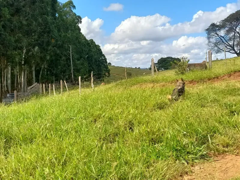 Fazenda em Aiuruoca/Minas Gerais — Ref 3YMEJY — Imagem 27