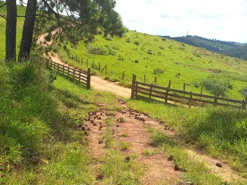 Fazenda em Aiuruoca/Minas Gerais — Ref 3YMEJY — Imagem 22