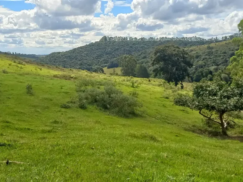 Fazenda em Aiuruoca/Minas Gerais — Ref 3YMEJY — Imagem 23