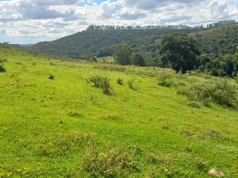Fazenda em Aiuruoca/Minas Gerais — Ref 3YMEJY — Imagem 24