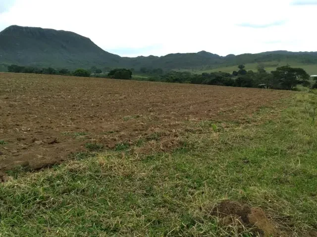 Fazenda em Santo Hipólito/Minas Gerais — Ref NSD41Z — Imagem 2