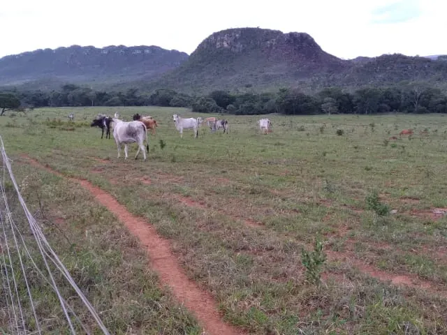 Fazenda em Santo Hipólito/Minas Gerais — Ref NSD41Z — Imagem 9