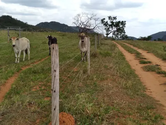 Fazenda em Santo Hipólito/Minas Gerais — Ref NSD41Z — Imagem 4