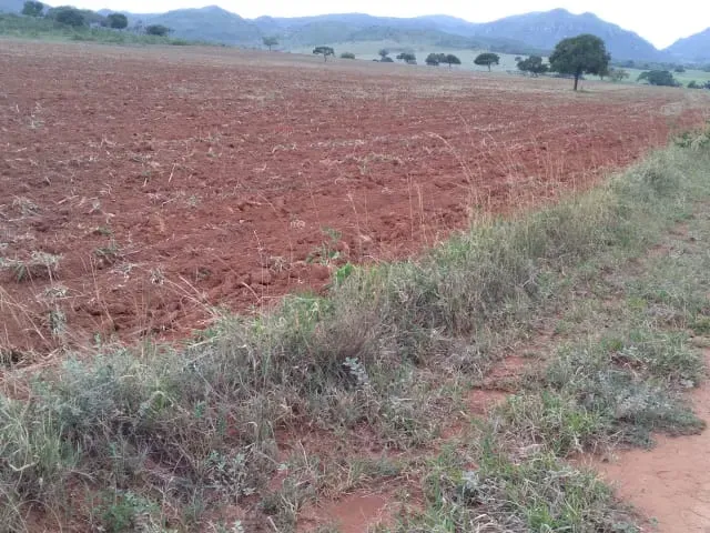 Fazenda em Santo Hipólito/Minas Gerais — Ref NSD41Z — Imagem 10
