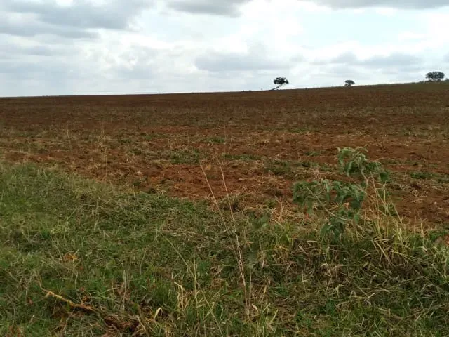 Fazenda em Santo Hipólito/Minas Gerais — Ref NSD41Z — Imagem 11