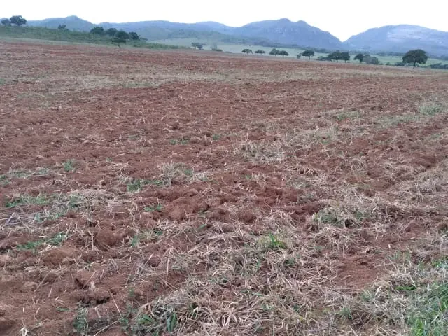 Fazenda em Santo Hipólito/Minas Gerais — Ref NSD41Z — Imagem 12
