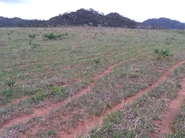 Fazenda em Santo Hipólito/Minas Gerais — Ref NSD41Z — Imagem 14