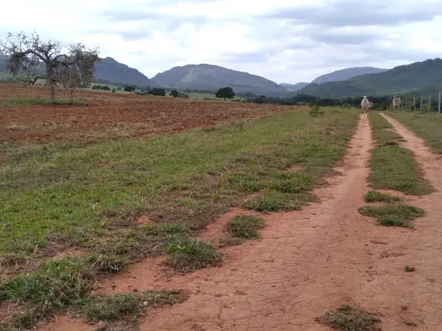 Fazenda em Santo Hipólito/Minas Gerais — Ref NSD41Z — Imagem 15