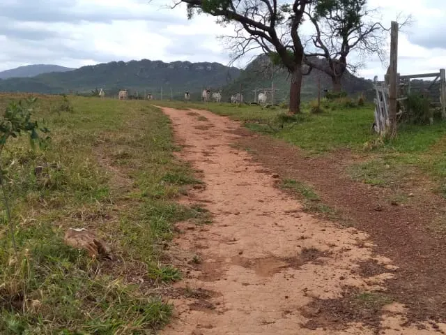 Fazenda em Santo Hipólito/Minas Gerais — Ref NSD41Z — Imagem 17