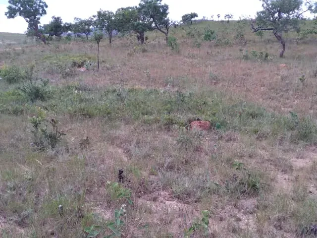 Fazenda em Santo Hipólito/Minas Gerais — Ref NSD41Z — Imagem 19