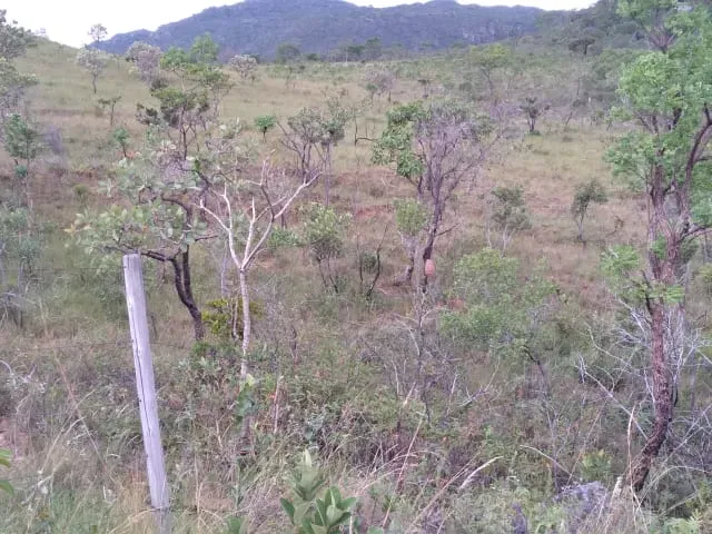 Fazenda em Santo Hipólito/Minas Gerais — Ref NSD41Z — Imagem 22