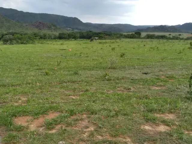 Fazenda em Santo Hipólito/Minas Gerais — Ref NSD41Z — Imagem 6