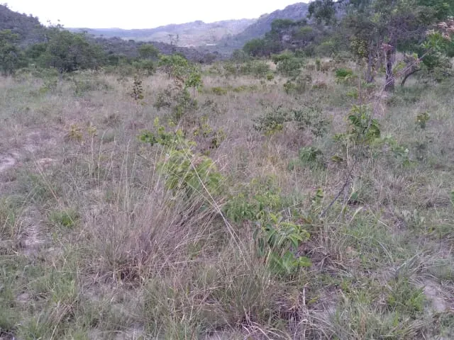 Fazenda em Santo Hipólito/Minas Gerais — Ref NSD41Z — Imagem 23