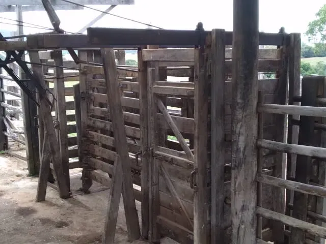 Fazenda em Santo Hipólito/Minas Gerais — Ref NSD41Z — Imagem 29