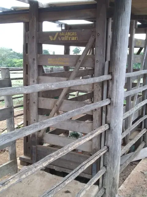 Fazenda em Santo Hipólito/Minas Gerais — Ref NSD41Z — Imagem 30