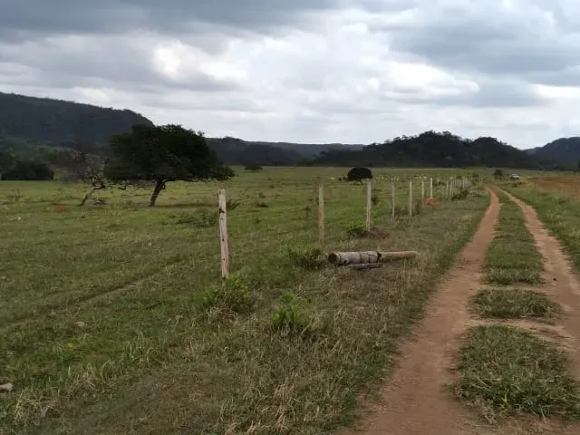 Fazenda em Santo Hipólito/Minas Gerais — Ref NSD41Z — Imagem 43